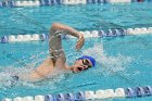 Swimming & Diving vs RWU  Swimming & Diving vs Roger Williams University. - Photo by Keith Nordstrom : Wheaton, Swimming